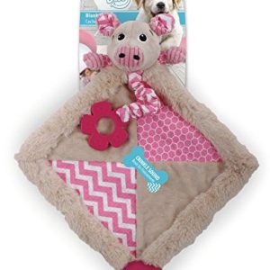 All for Paws 31250/2554 Little Buddy blank Piggy 847922042011