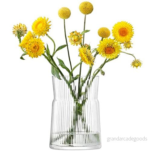 LSA internationell lykta/vas H18.5cm Klar 5012548569845