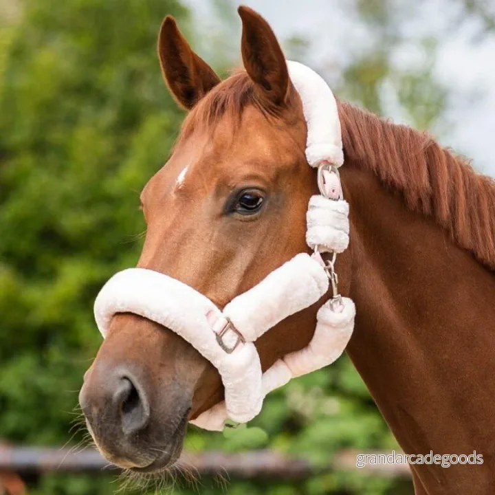 Halter QHP Alaska 8718369236313
