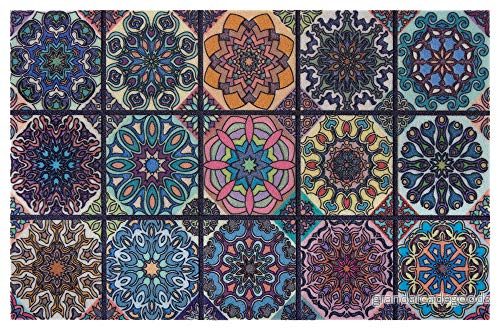Hanse Home Tryckt dörrmatta flockad 3D utseende med halkfri PVC golv smutsfångande matta smutssamlare entrématta, inomhus och utomhus olika motiv 45 x 70 cm, färg: ornament 4260669875500