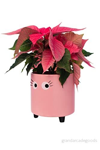 Fisura Original blomkruka med ögondesign. Dekorativ Kruka för inomhusbruk. ben kaktusar. Keramikkruka blommor och suckulenter. 13 x 12,5 cm. (Rosa) 8435436728112
