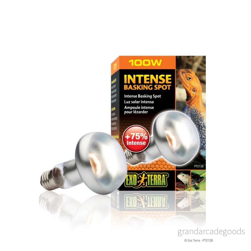 Exo Terra Intense Basking Spot PT2138A1 Lampa för Terrarium, Vit, 100 W 15561221382