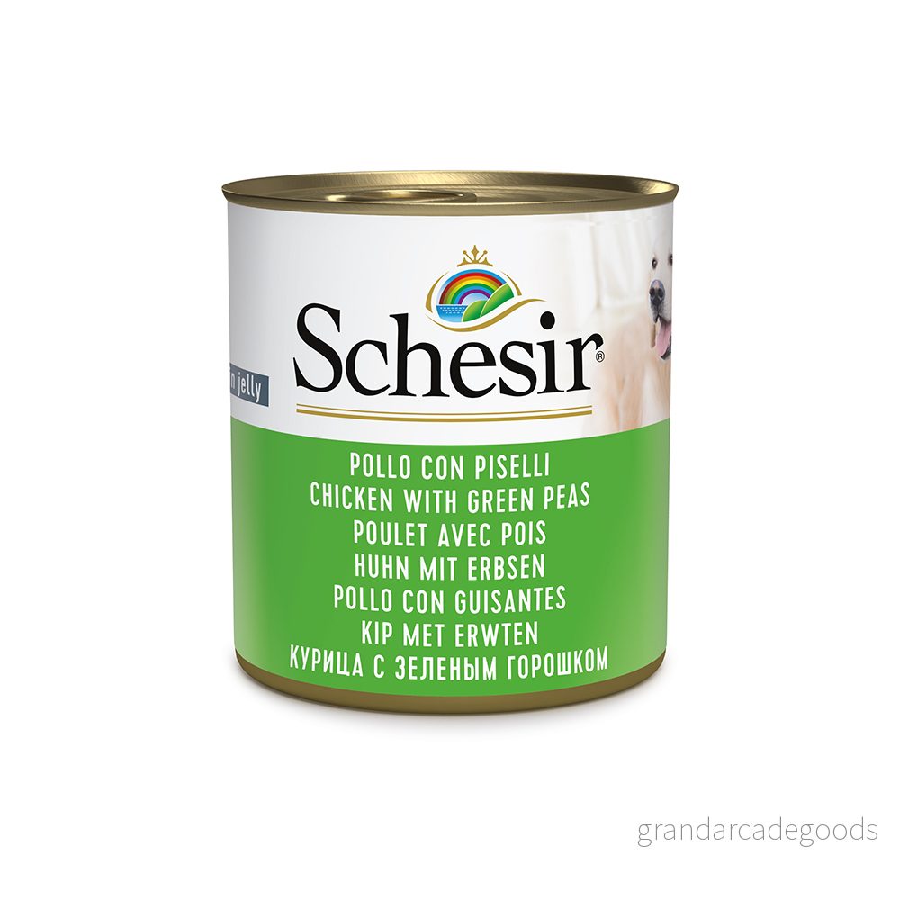 Inodorina, torr schampo mousse, med mjukgörande och rengöringsåtgärd, respekterar den naturliga Ph, även för frekventa tvättar, perfekt hundar, katter valpar, aloe vera doft, 300 ml 8005852280312