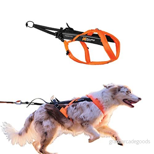 Non stop dogwear Freemotion Harness 5.0 Black/Orange 7071652111416