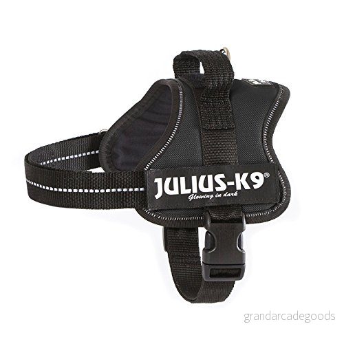 Julius K9, 162PM, K9 Powerharness, hundsele, storlek: Mini, svart 5999053600051