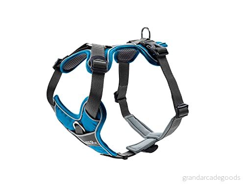 HUNTER DIVO hundsele, S, 4556 cm, ljusblå/grå 4016739676009