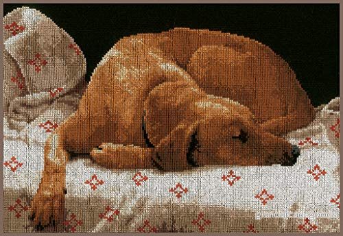 Lanarte korsstygnsset sovande hund, korsstygspaket med mönstermönster, bomull, flerfärgad, 35 x 26 0,3 cm 5413480697908