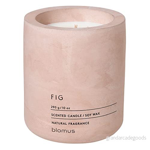 blomus FRAGA Doftljus L av sojavax, Rose Dust, högkvalitativ rumsdoft, karakteristisk betonggook, doft FIG, 55 h brinntid, särskilt sot (H/B/D: 11 x 9 cm, 65655) 4008832656552