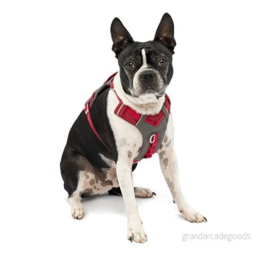 Kurgo Journey luftsele, hundsele för löpning och promenader, lätt, andningsbar, extra liten röd 813146019375