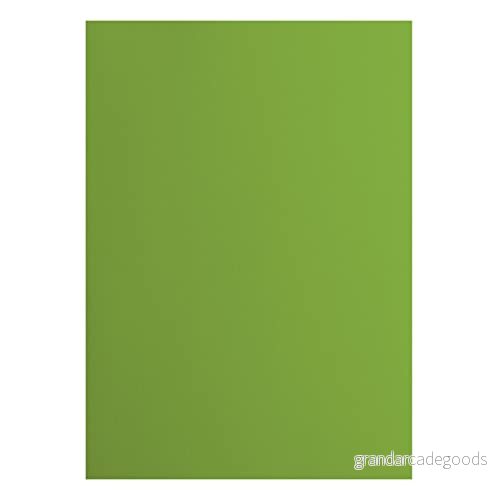 Vaessen Creative 2927 074 Florens cardstock papper, grön, 216 gram/m², DIN A4, 10 stycken, slät, för scrapbooking, korttillverkning, stansning och andra papperslådor 8716052221226