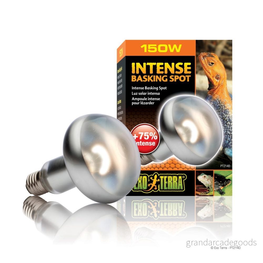 Exo Terra Intense Basking Spot PT2140 Lampa för Terrarium, Vit, 150 W 15561221405 Exo Terra Intense Basking Spot PT2140 Lampa för Terrarium, Vit, 150 W 15561221405