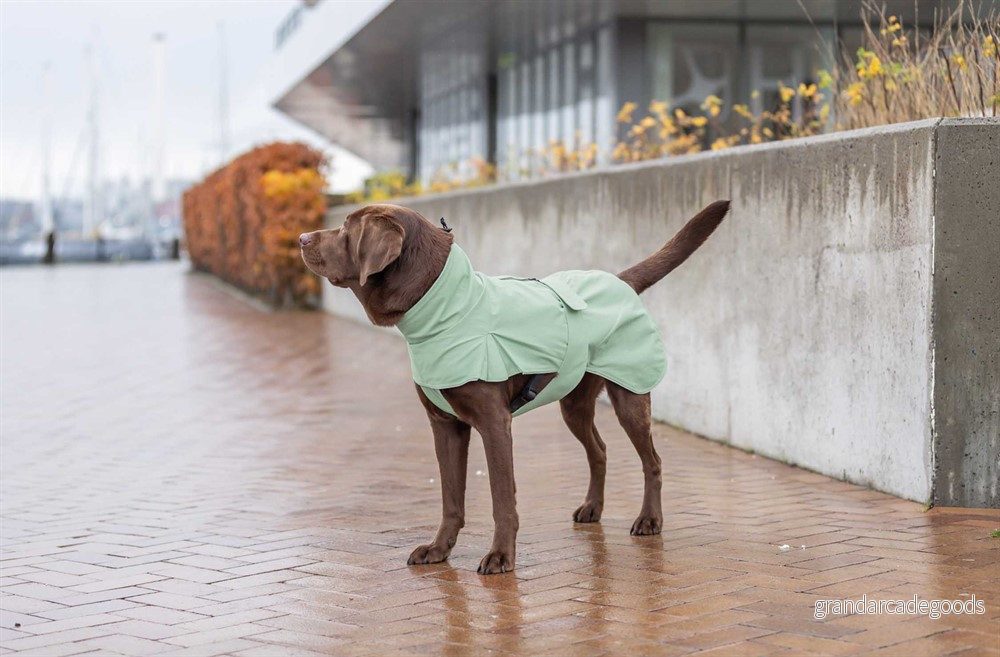 Dublin Regntäcke till Hund 62 cm 4053032654877