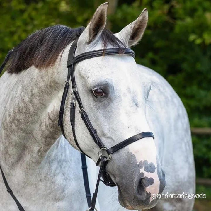 Bitless bridle QHP Ceto 8718369205203