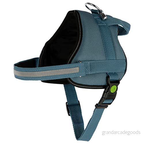 Maxi-Pet 80210 porslin Maestro 2.0, med adresstund 4018653991954
