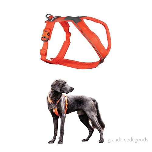 Non-stop dogwear Line Harness 5.0 218 Kör och vardagsbestick i orange, storlek: G 3 7071652021838