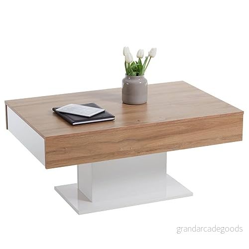 FMD furniture Soffbord, träväktyg, gamla dammar Nb/vit ädelglans, ca 100 x 65 45 cm 4029494116871
