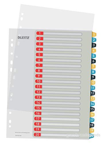 Leitz Cosy A4 Register för Utskrift 1 20, Rejäl och Slitstark, Flerfärgad, Serien, 12490000 4002432125135