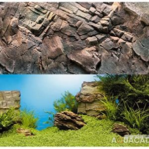 Juwel Poster 1 Plant / Reef S 60×30 cm 4022573862508