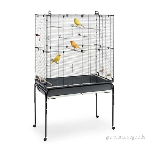 Ferplast Planeta Fågelbur, Svart, 58 x 97 173,5 cm 8010690159294