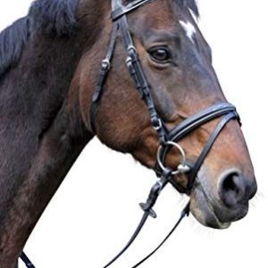 Kerbl Trensenzaum Classic läder Pony, brun, 324911 4018653068229 Kerbl Trensenzaum Classic läder Pony, brun, 324911 4018653068229