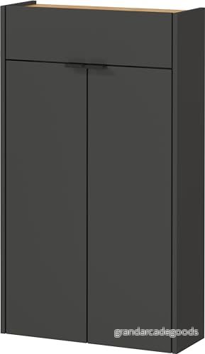 GERMANIA DIE MÖBELMACHER hängande multifunktionsskåp 1397549 GW Ameca, i grafit/ek, lågt djup, perfekt för smala korridorer, 56 x 97 22 cm (B H D) 4005949139756