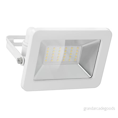 goobay 53873 LED strålkastare utomhus 30 W/utomhus IP65/neutralt vitt ljus 2550 lm/LED vägginstallation / IP65 trädgårdsstrålkastare/vit 4040849538735