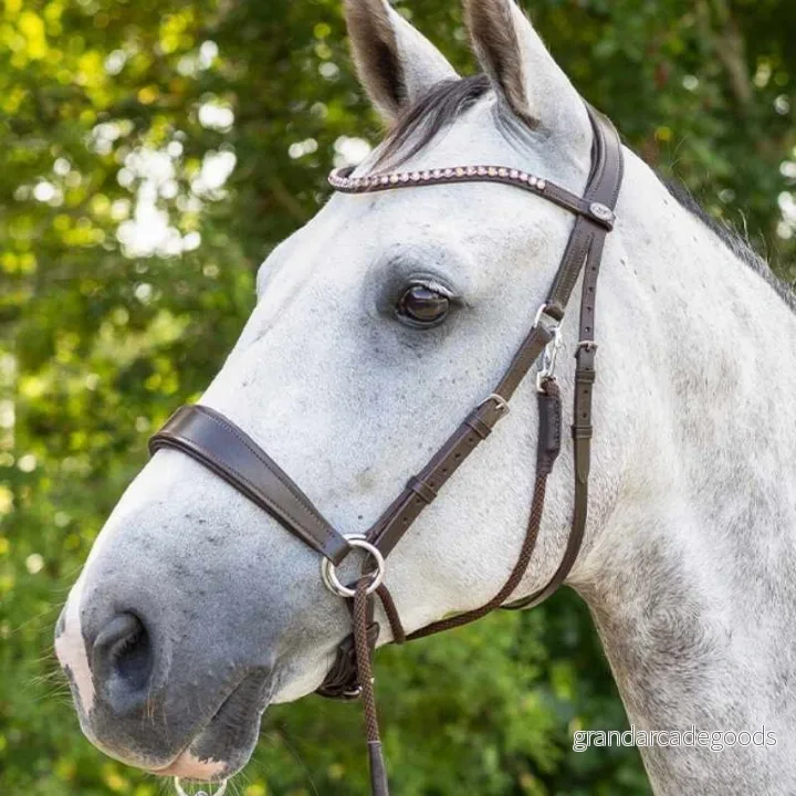 Bitless bridle QHP Sunna 8718369230229