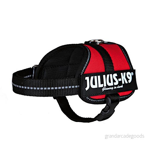 Julius K9,162, strömsladd, Mini Mini, Röd 5999053600020