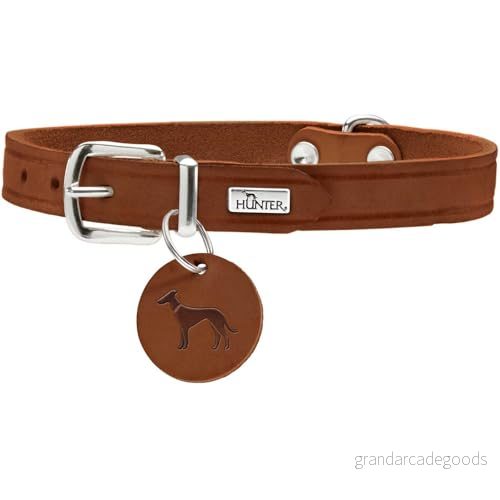 HUNTER AALBORG hundhalsband, läder, enkelt, robust, bekväm, 32 (XS), konjak 4016739660541