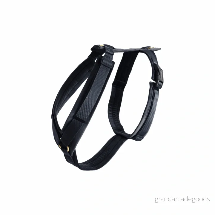 Kentucky Dogwear Hundsele aktiv sammet, storlek: XL, färg: svart 5407008893231