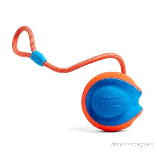 Chuckit rephämtning 1 bit 29695322204