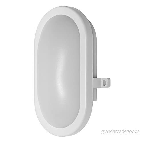 LEDVANCE LED funktionslampa, lampa för utomhusbruk, kallvit, skott 4058075271661