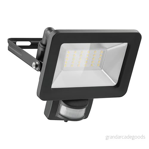 Goobay 53881 LED strålkastare med rörelsedetektor 30 W neutralt vitt ljus 4 000 K 2560 lumen strålvinkel 100 grader skyddsklass IP65 svart 4040849538810