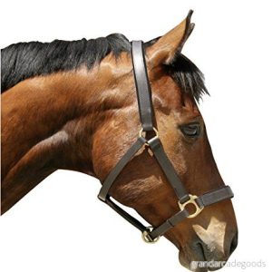 Kerbl eko huvudkrage Brun en storlek 4018653075104 Kerbl eko huvudkrage Brun en storlek 4018653075104