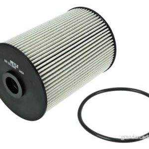 MEYLE 100 323 0005 Filtre à Carburant Cartouche filtrante ORIGINAL Quality avec joint d’étanchéite VOLKSWAGEN: Golf Plus / Crossgolf, 6, 5 4040074524350